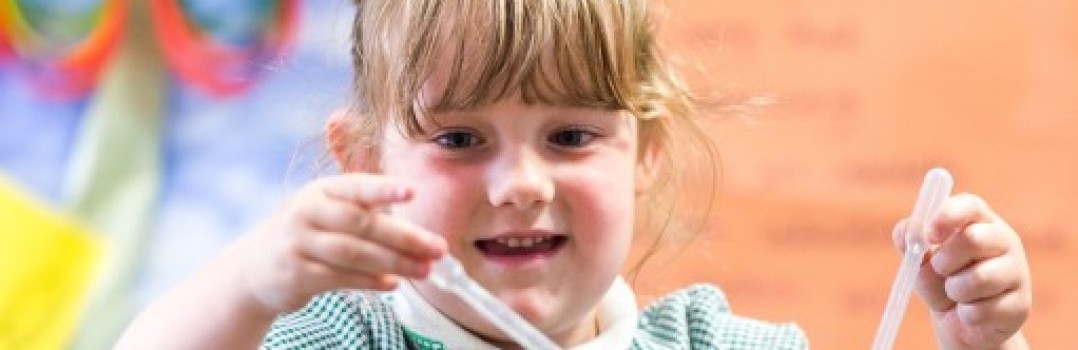 Mattishall Primary School (34)