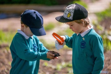 Mattishall Primary School (7)