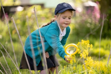 Mattishall Primary School (49)