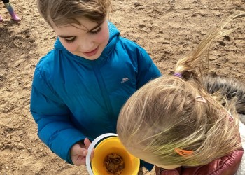 Holkham Beach visit (3)