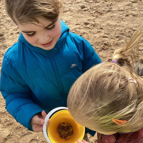 Holkham Beach visit (3)