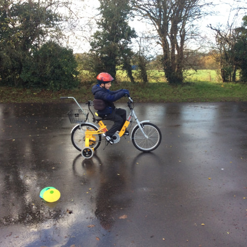 ed9279ae-ff61-42c4-8951-230f7f2f0007___1771110336___1209600___1___n6npkTVxbhAWOTLoN9lV-J_zhtocj3o5NGNcMz5xLHqB6s0bAaWjlld_lfdM-fqi7EN3UFAd7CWD0kssB7p_pQ